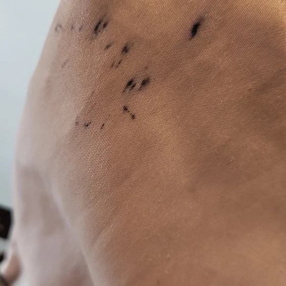 Coach Penelope Signature Jacquard Turnlock Pocket Swingpack Crossbody Bag - Picture 2 of 11